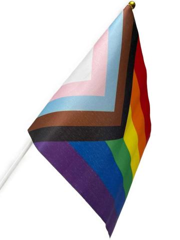 Progressive Pride Regenbogen Flagge 26x19cm  2