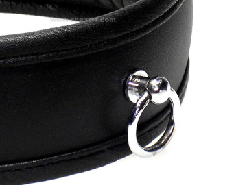 Leder-Halsband, gepolstert mit Schloß  2