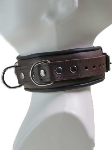 Leder-Halsband gepolstert schwarzbraun - 4 D-Ringe 6cm  2