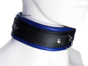 Leder-Halsband, gepolstert blau 5cm  2