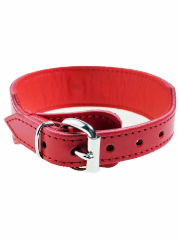 Leder-Halsband PASSION & Ring der O - rot  2