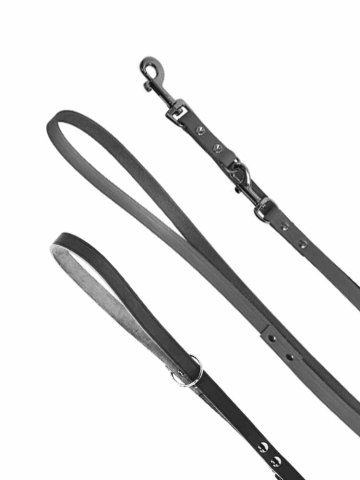 Hundeleine Führleine 2 Meter schwarz  2