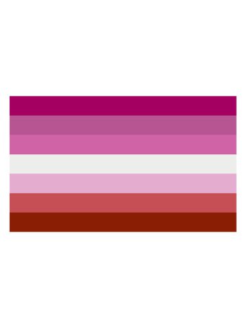 Lesben - Lesbian Flagge 90x150cm  2