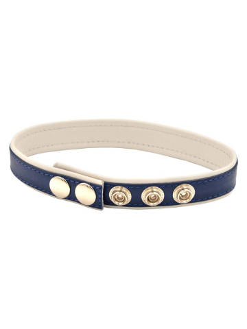 Mister B Leder Circuit Bizepsband blau - weiss  2