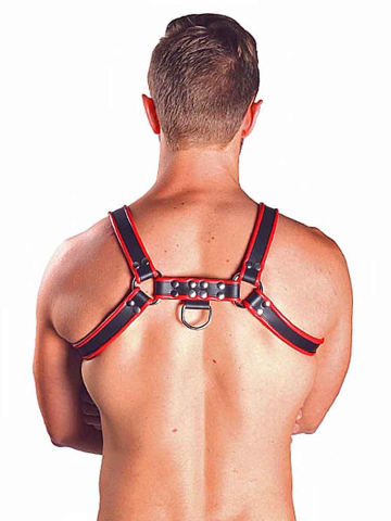 Mister B Leather Chest/Brust Harness, schwarz-rot  2