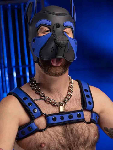 Mister S Neo BOLD COLOR BULLDOG Harness - blau  2