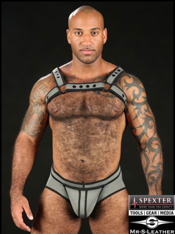 Mister S Neo BOLD COLOR BULLDOG Harness - grau  2