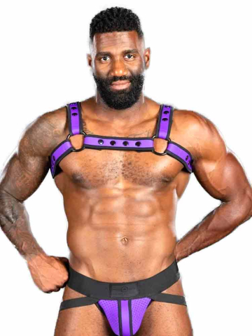 Mister S Neo BOLD COLOR BULLDOG Harness - purple  2
