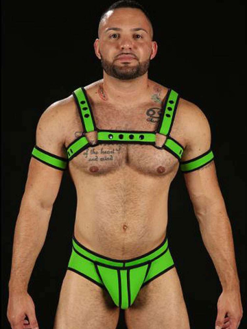 Mister S Neo BOLD COLOR BULLDOG Harness - lime  2
