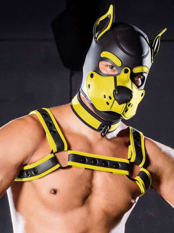 Mister S Neopren K9 Puppy-Maske - schwarz/gelb  2