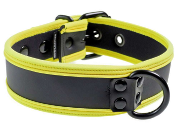 Mister S Neopren Puppy Halsband - schwarz/gelb  2