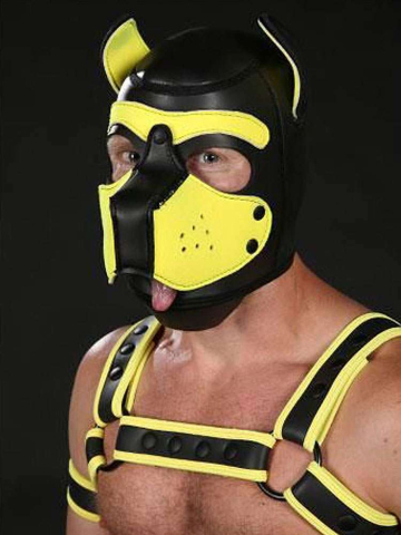 Mister S Neopren Puppy-Maske - schwarz/gelb  2