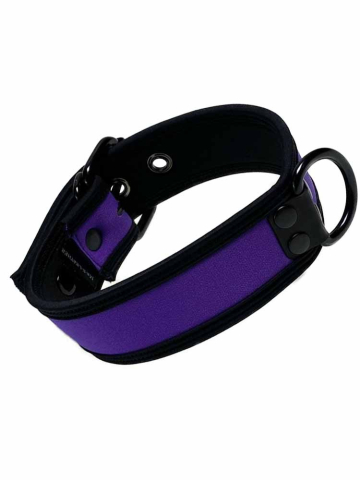 Mister S Neopren Puppy Halsband - purple/schwarz  2