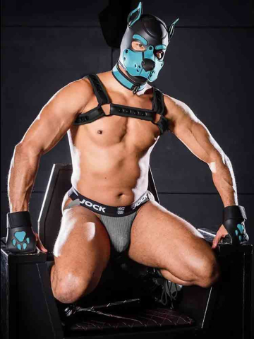 Mister S OPEN PAW Puppy Handschuhe - aqua  2