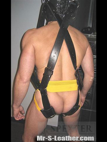 Mister S SUSPENSION Leder-Hängeharness  2
