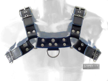 Oberkörper-Harness PITBULL mit blauer Paspel - 4cm  2