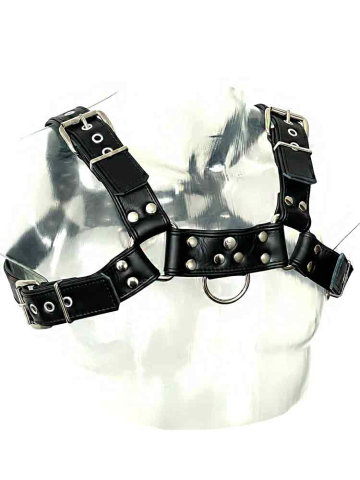 Oberkörper-Harness PITBULL mit schwarzer Paspel - 4cm  2