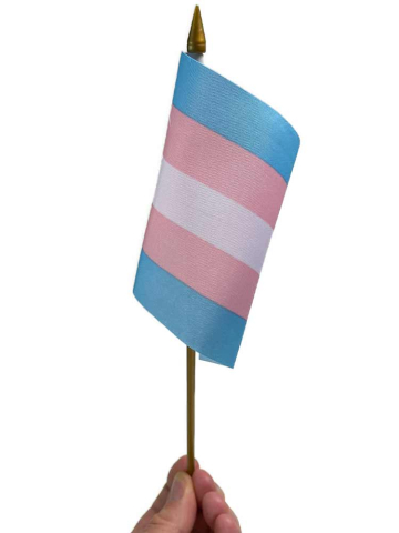 Transgender Pride Flagge 10x15cm  2