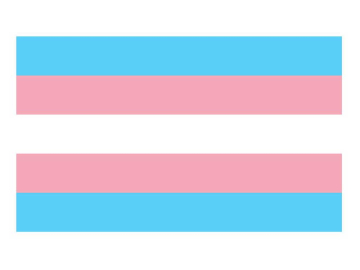 Transgender Pride Flagge 90x150cm  2