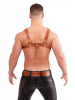 Mister B Signature Harness Brown 