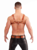 Mister B Signature Harness Braun 