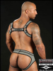 Mister S Neo BOLD COLOR BULLDOG Harness - grau 