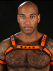 Mister S Neo BOLD COLOR BULLDOG Harness - orange 