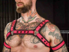 Mister S Neo BOLD COLOR BULLDOG Harness - pink 