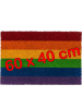 Regenbogen Fussmatte 60x 40 cm 