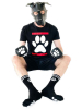 Sk8erboy PUPPY Socks schwarz 