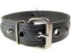 Mister S Leder Puppy Halsband - schwarz 