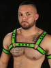 Mister S Neo BOLD COLOR BULLDOG Harness - lime 