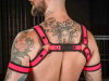 Mister S Neo BOLD COLOR BULLDOG Harness - pink 