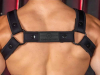 Mister S Neo CARBON COLOR BULLDOG Harness - schwarz 