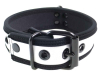 Mister S Neopren Puppy Halsband - weiss/schwarz 