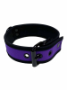 Mister S Neopren Puppy Halsband - purple/schwarz 
