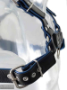 Oberkörper-Harness PITBULL mit blauer Paspel - 4cm 
