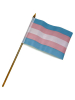 Transgender Pride Flagge 10x15cm 