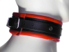 Leder-Halsband, gepolstert rot 5cm 