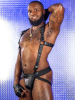 Mister S Hunter Harness 