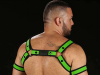 Mister S Neo BOLD COLOR BULLDOG Harness - lime 