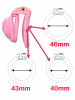 SISSY LABIA Keuschheitskäfig rosa 