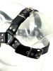 Oberkörper-Harness PITBULL mit schwarzer Paspel - 4cm 