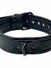 BRUTUS Puppy Hunde-Halsband schwarz 