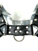 Oberkörper-Harness PITBULL mit schwarzer Paspel - 4cm 